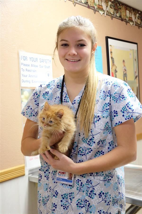 Lillian Bray NV Specialized Careers Vet student holds kitten. Lillian Bray NV Specialized Careers Vet student holds kitten.